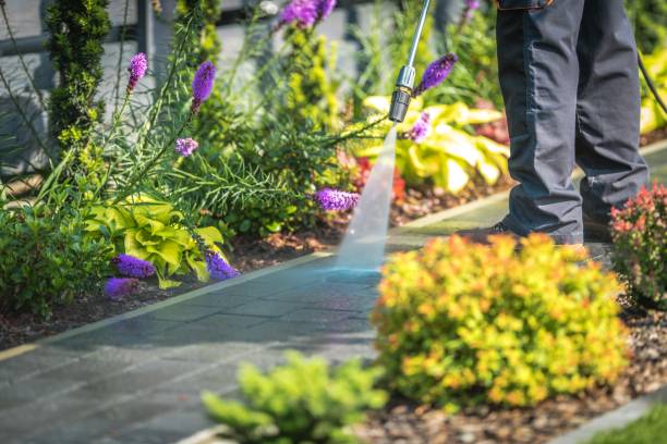 Best Gutter Cleaning  in Bonneau Beach, SC